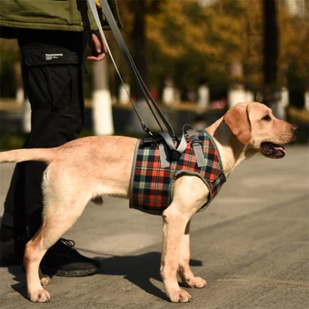 Поддържаща куче колани за кучета на инвалиди, мрежа за повдигане на кучета, рехабилитация стропа, поясная подкрепа при стари травми на ставите, разходки с кучета